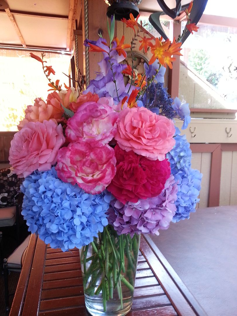  photo 20140821_125316_zpsnubtklvd.jpg